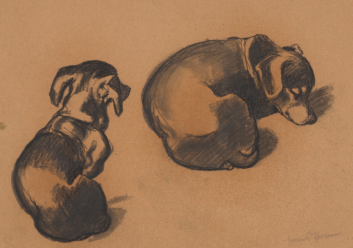 Studies of a dachshund by Ханс Тома, 1885 — digital art print download