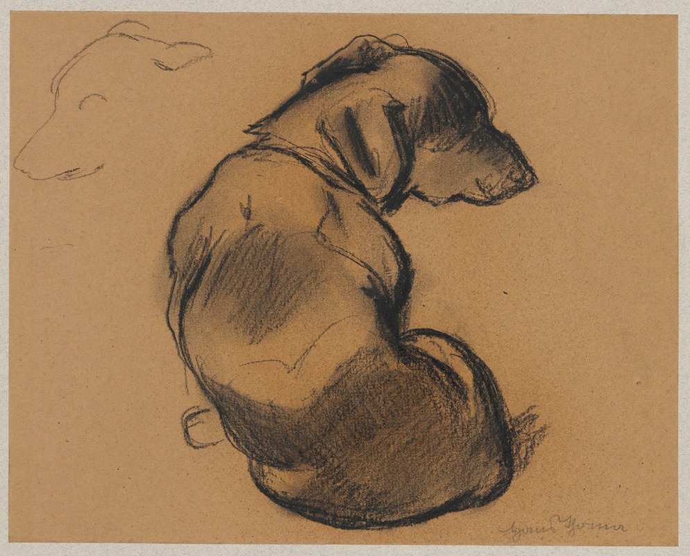 Studies of a dachshund — Ханс Тома