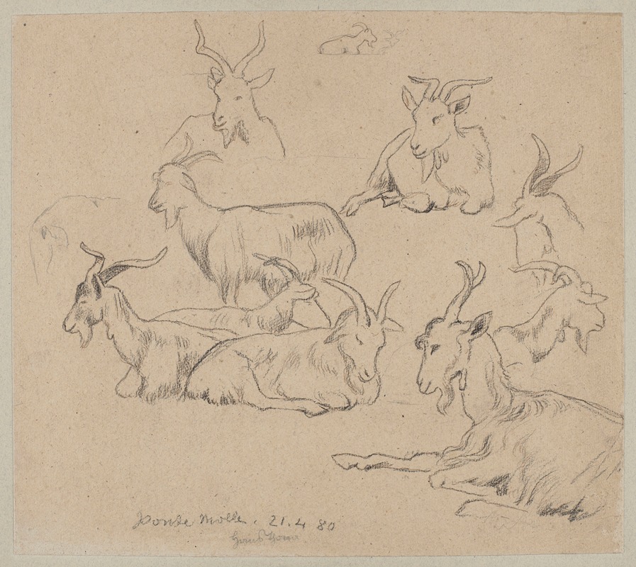 Studies of Goats by Ханс Тома, 1880 — digital art print download