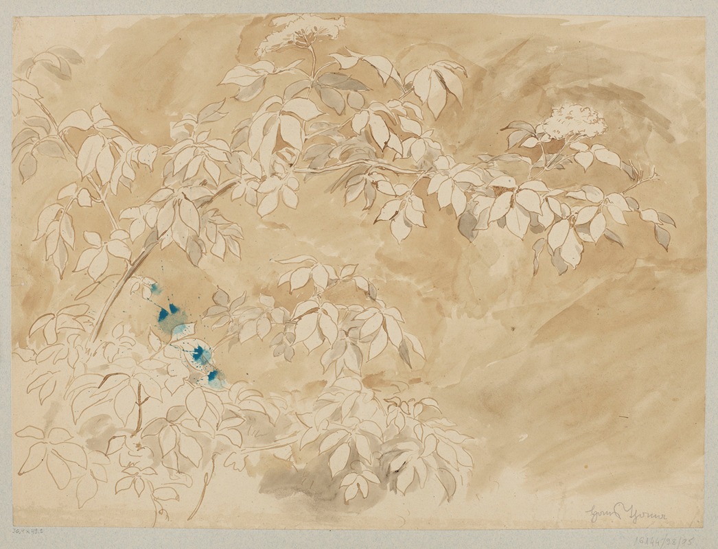 Study of a Branch by Ханс Тома, 1880 - 1924 — digital art print download