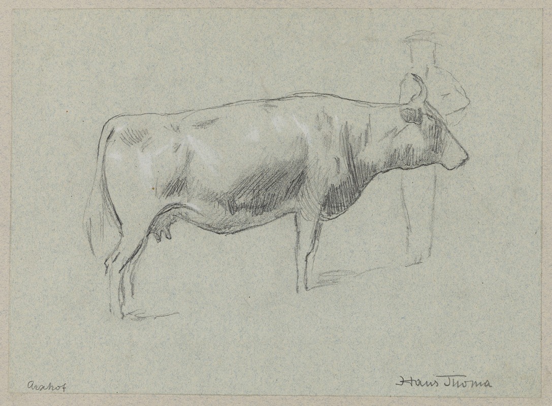 Study of a Cow by Ханс Тома, 1895 — digital art print download