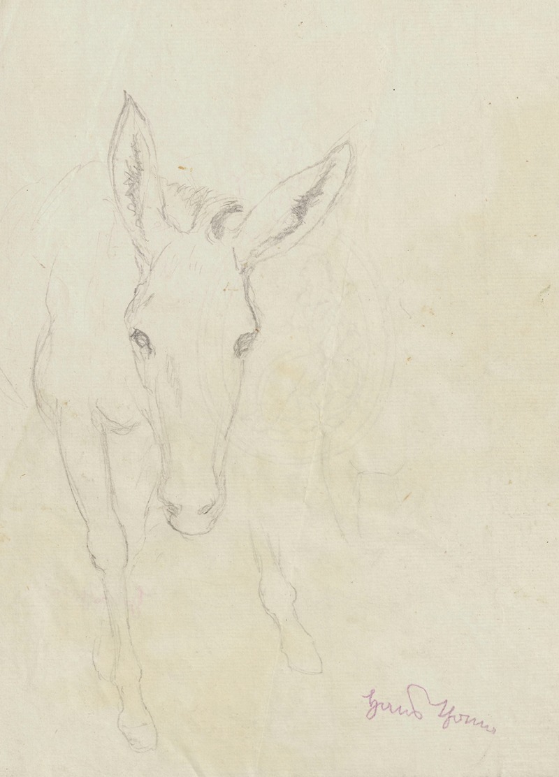 Study of a donkey depicted from the front — Ханс Тома