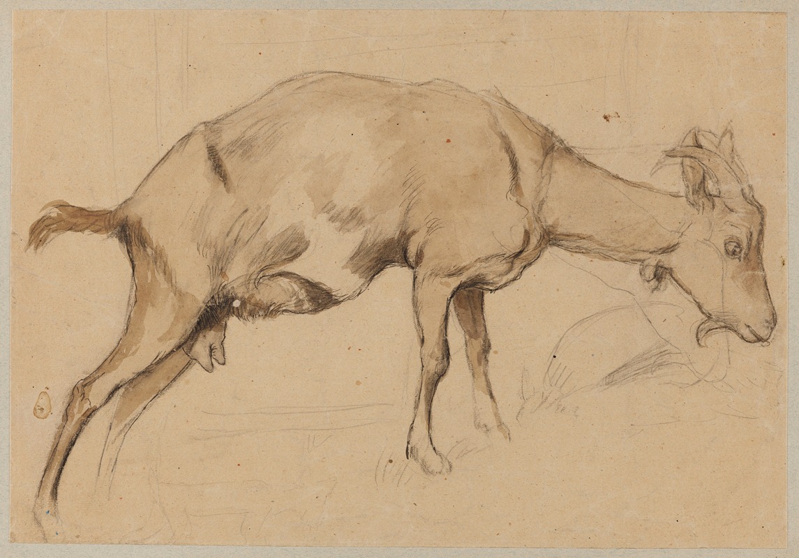 Study of a Goat by Ханс Тома, 1872 — digital art print download