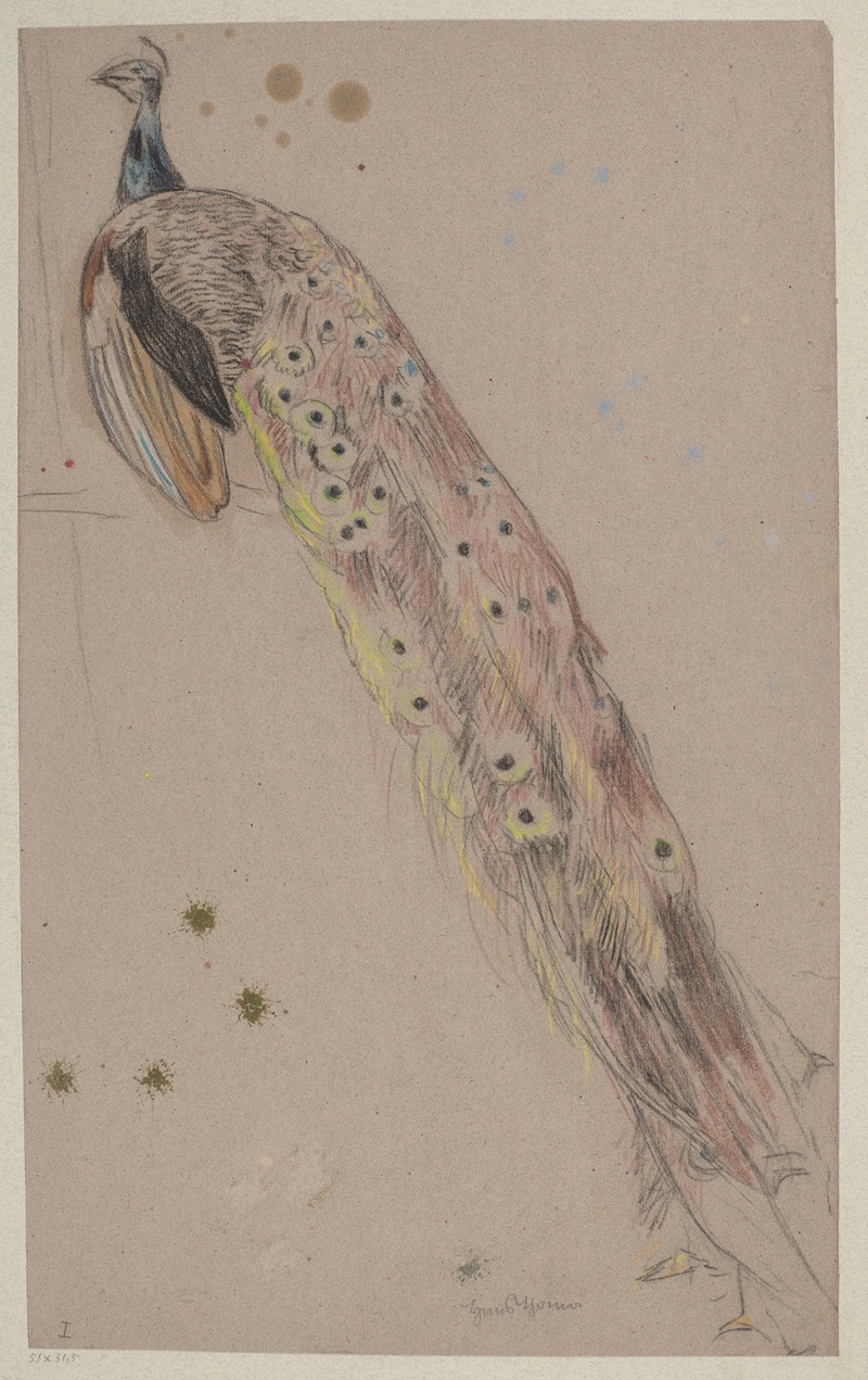 Study of a Peacock by Ханс Тома, 1890 — digital art print download