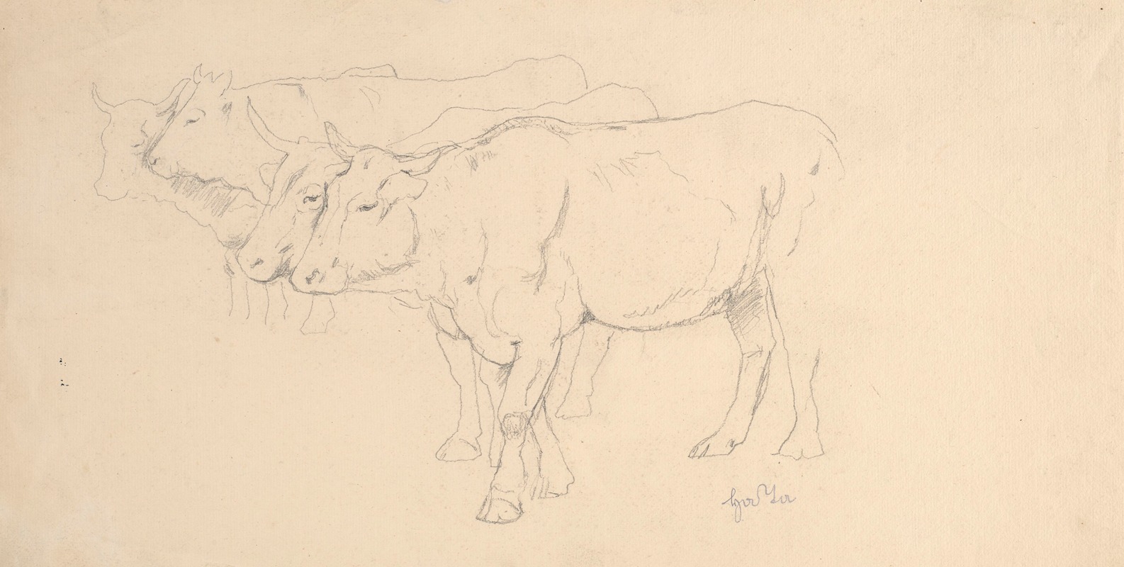Study of Four Cows Walking by Ханс Тома, 1890 - 1910 — digital art print download