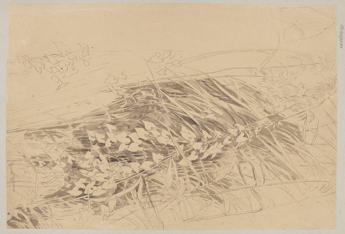 Study of Grass and Convolvulus by Ханс Тома, 1870 — digital art print download