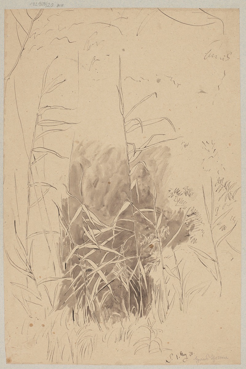 Study of Grass by Ханс Тома, 1870 — digital art print download