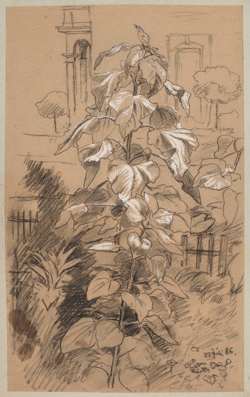 Study of Plants by Ханс Тома, 1886 — digital art print download