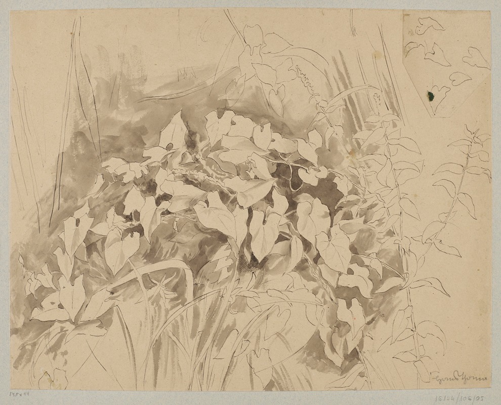 Study of vegetation by Ханс Тома, 1870 — digital art print download