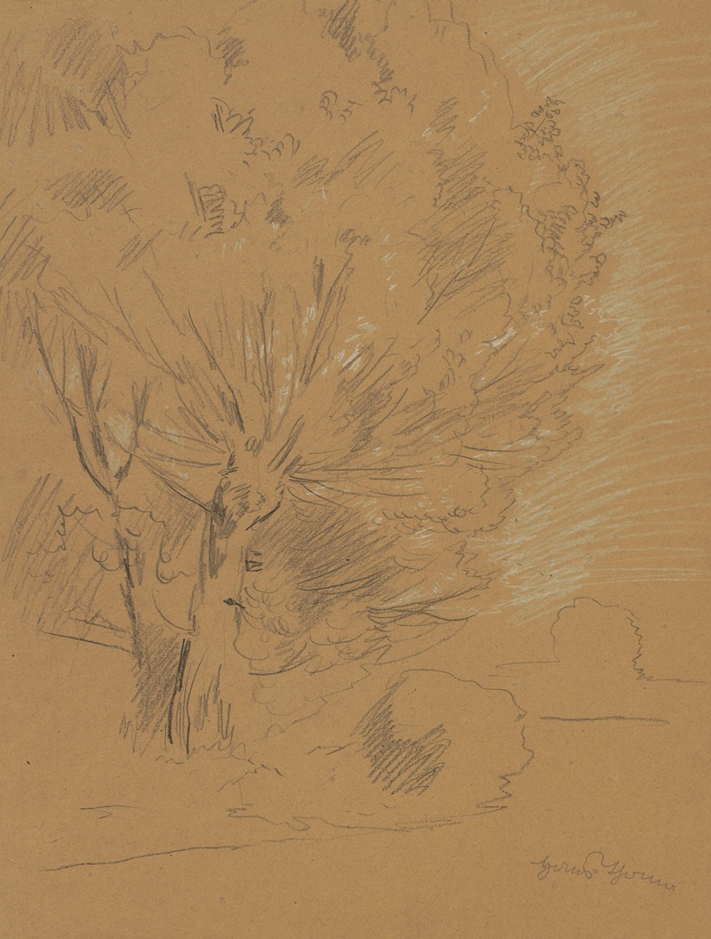 Study of willow by Ханс Тома, 1880 - 1920 — digital art print download