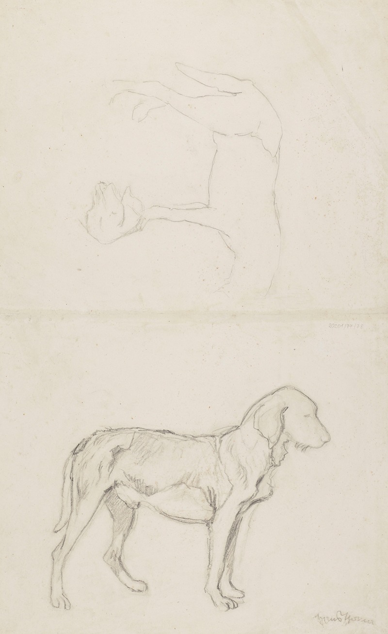 Three Studies of a Dog by Ханс Тома, 1860 - 1924 — digital art print download