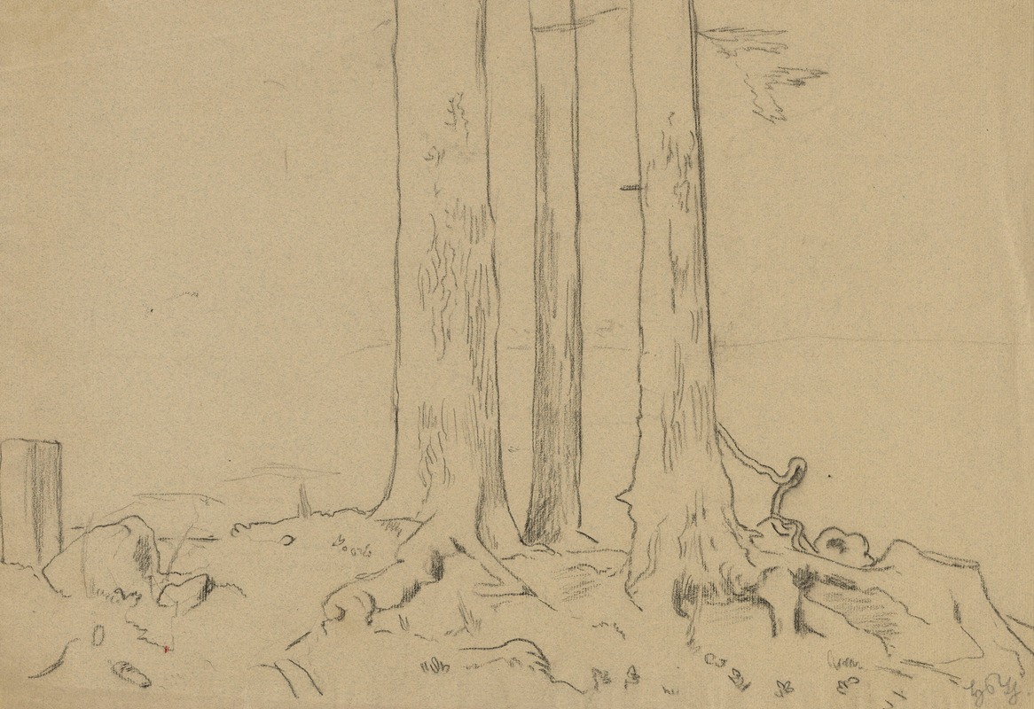 Trunks of Three Trees by Ханс Тома, 1900 — digital art print download