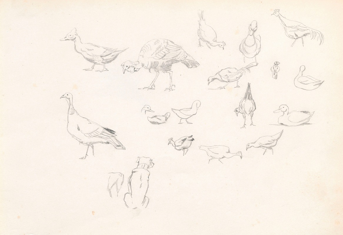 Poultry and a dog by Йозеф Брандт, 1881 — digital art print download