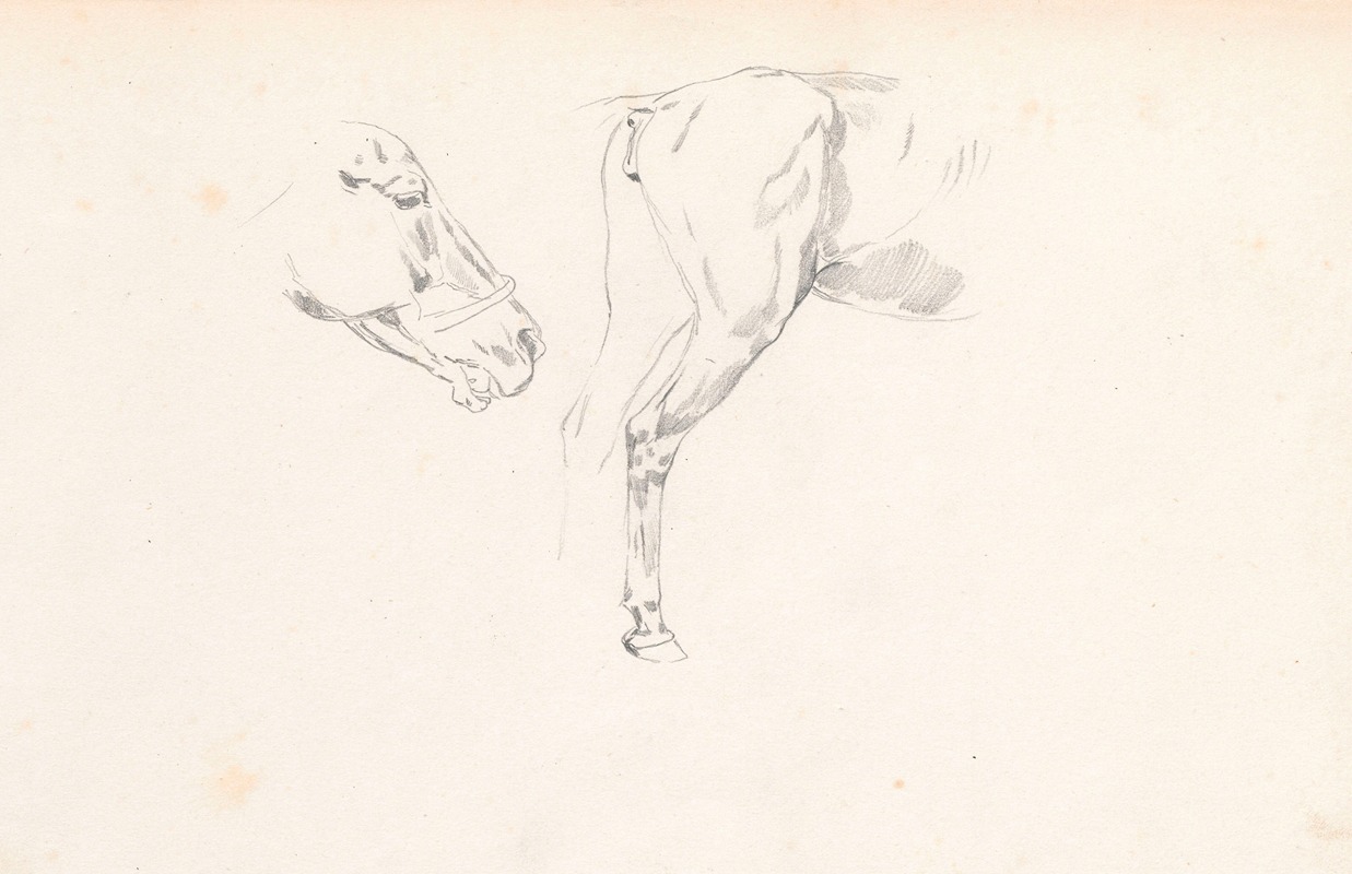 Study of a horse’s head and back by Йозеф Брандт, 1880 - 1883 — digital art print download