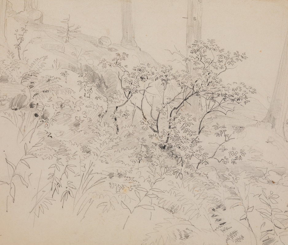 Study of foliage in a wood — Paul Huet