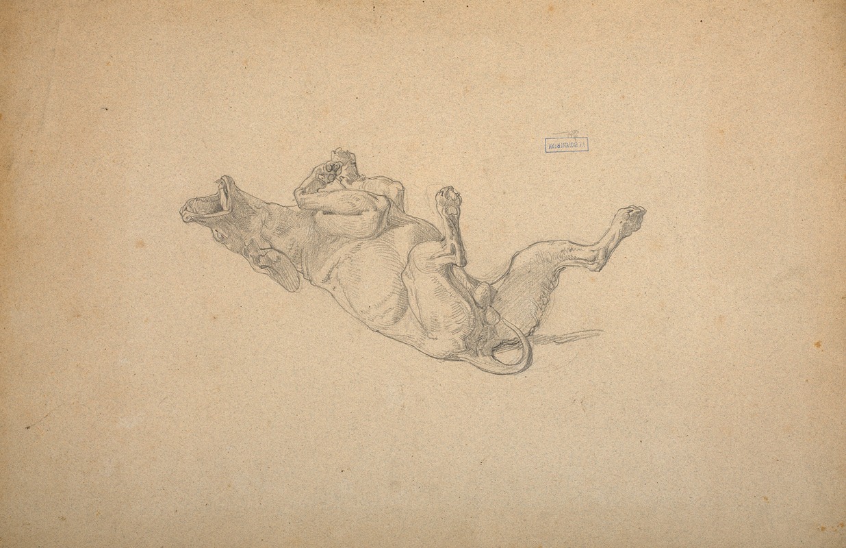 Study of dog by Уильям Бугеро — digital art print download