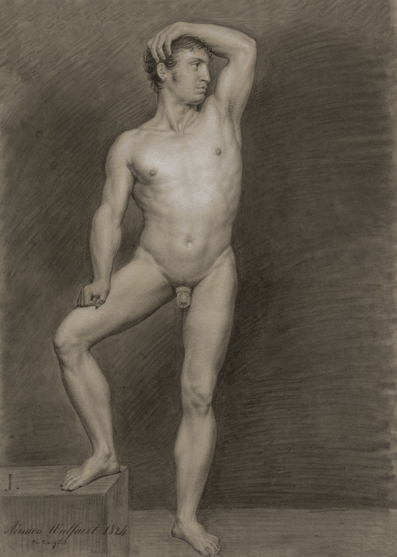 Standing male nude by Адрианус Вулффаерт, 1824 — digital art print download