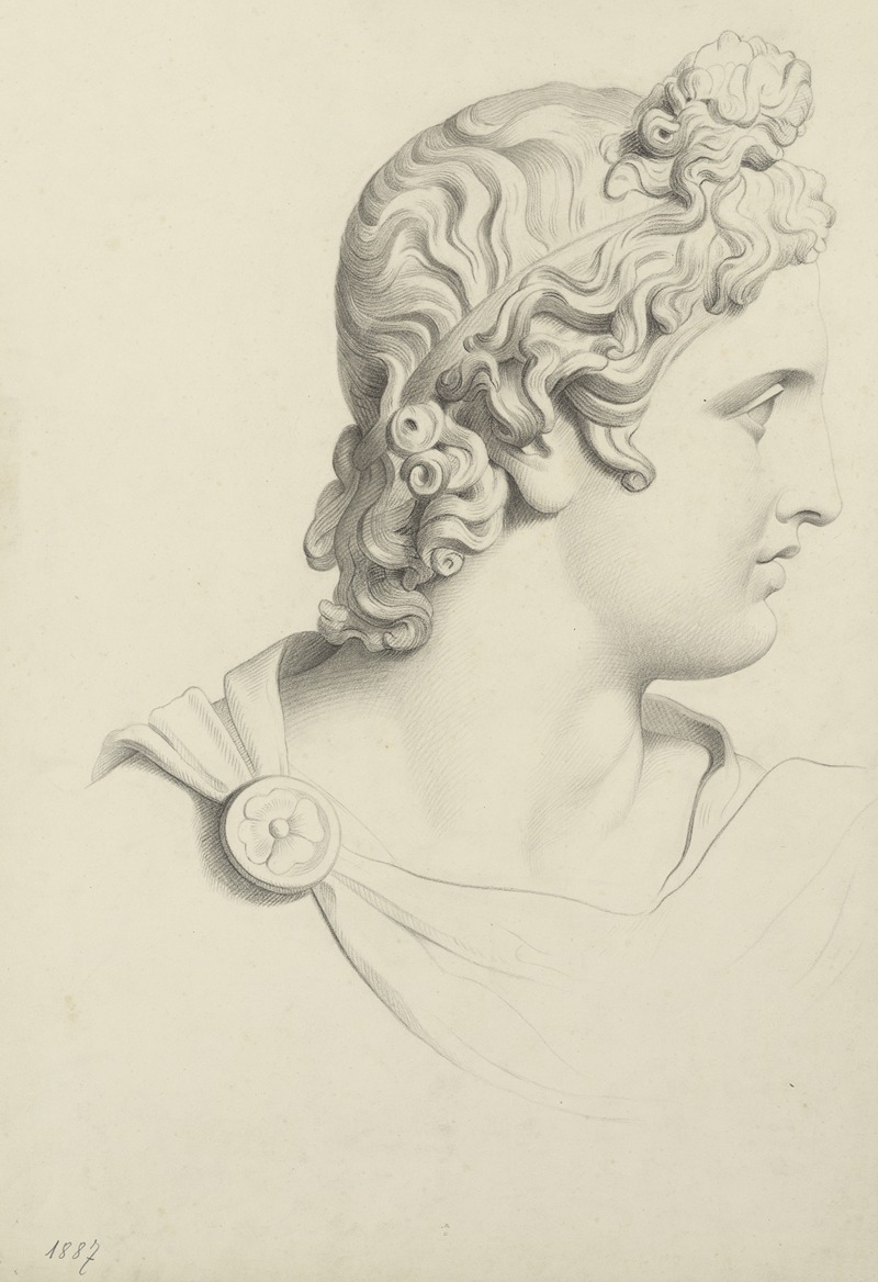 Head of Apollo Belvedere — Emile Isselée