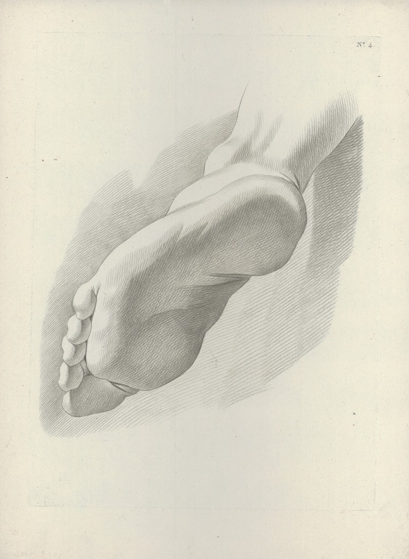 Study of a foot by J. F Cazenave — digital art print download