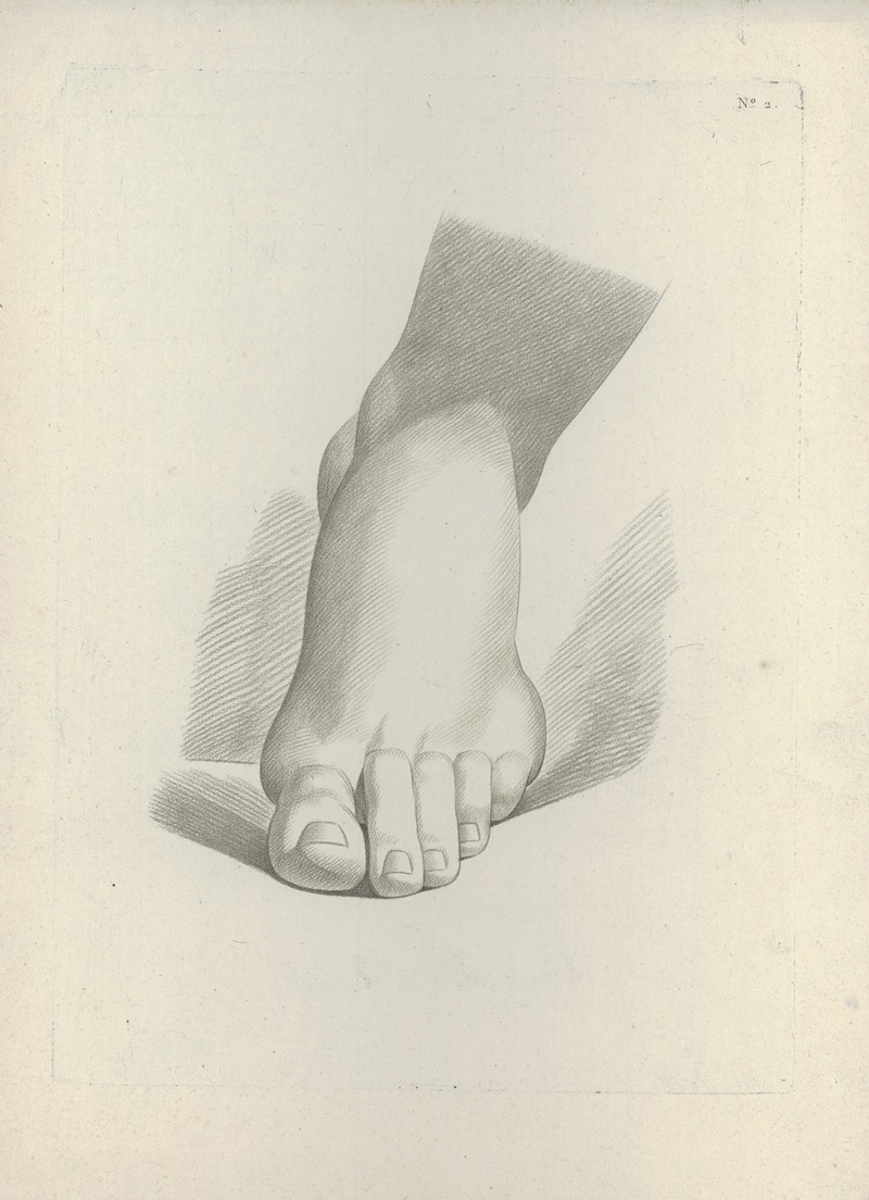 Study of a foot by J. F Cazenave — digital art print download