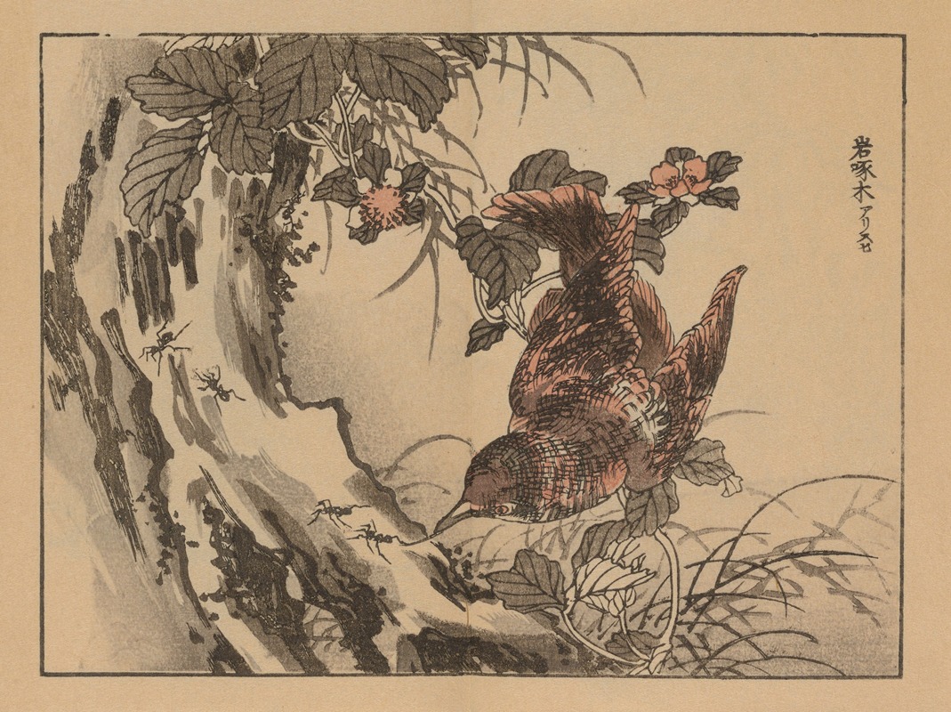 Bairei gafu, Pl.11 by Коно Байрей, 1905 — digital art print download