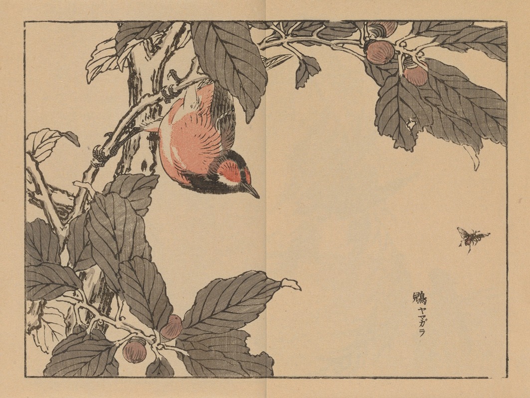 Bairei gafu, Pl.16 by Коно Байрей, 1905 — digital art print download