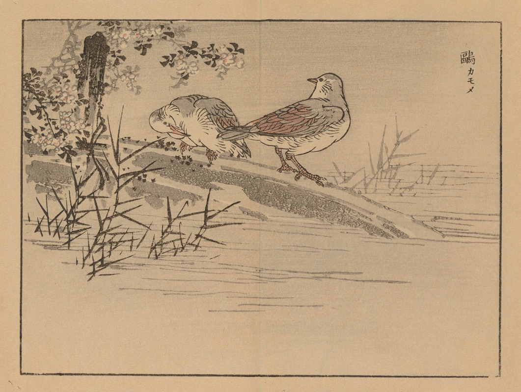 Bairei gafu, Pl.31 by Коно Байрей, 1905 — digital art print download