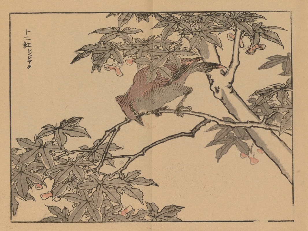 Bairei gafu, Pl.32 by Коно Байрей, 1905 — digital art print download