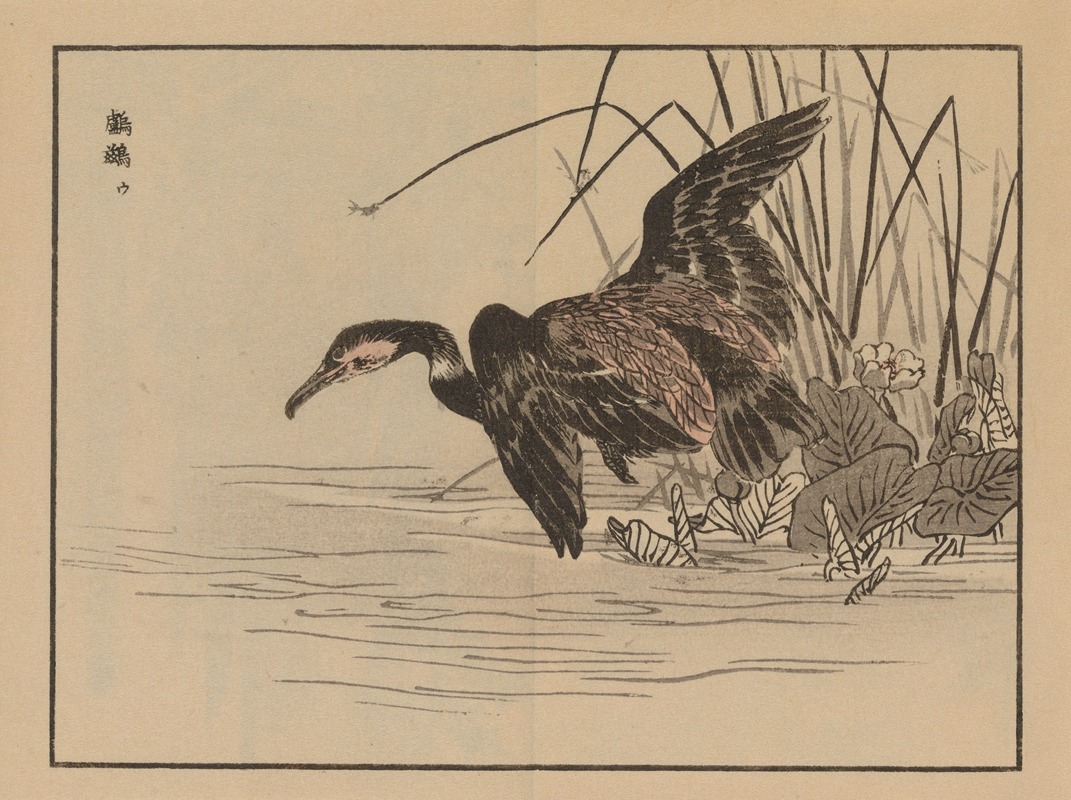 Bairei gafu, Pl.33 by Коно Байрей, 1905 — digital art print download