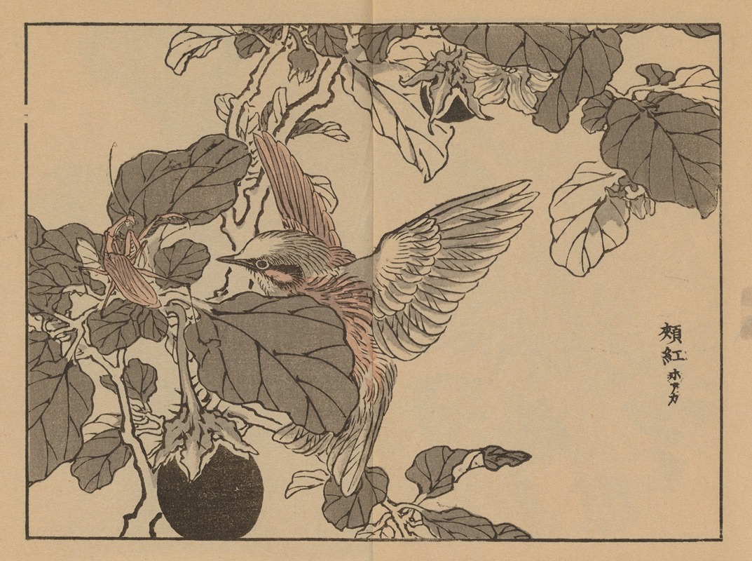 Bairei gafu, Pl.38 by Коно Байрей, 1905 — digital art print download