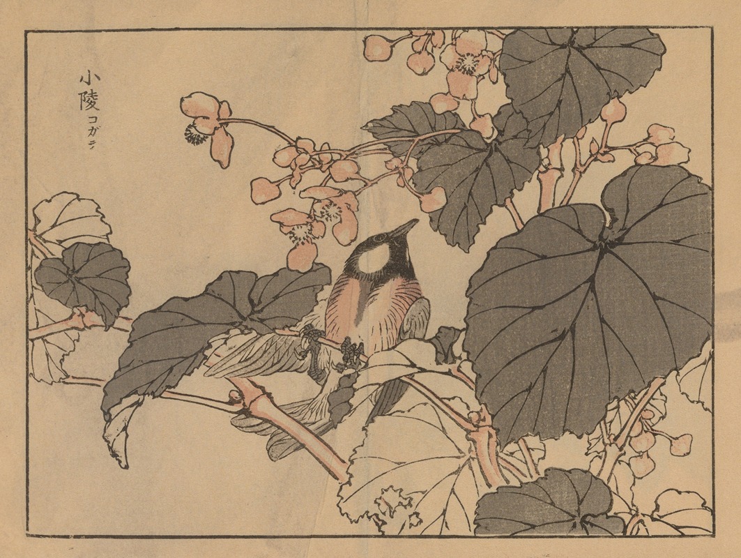 Bairei gafu, Pl.39 by Коно Байрей, 1905 — digital art print download