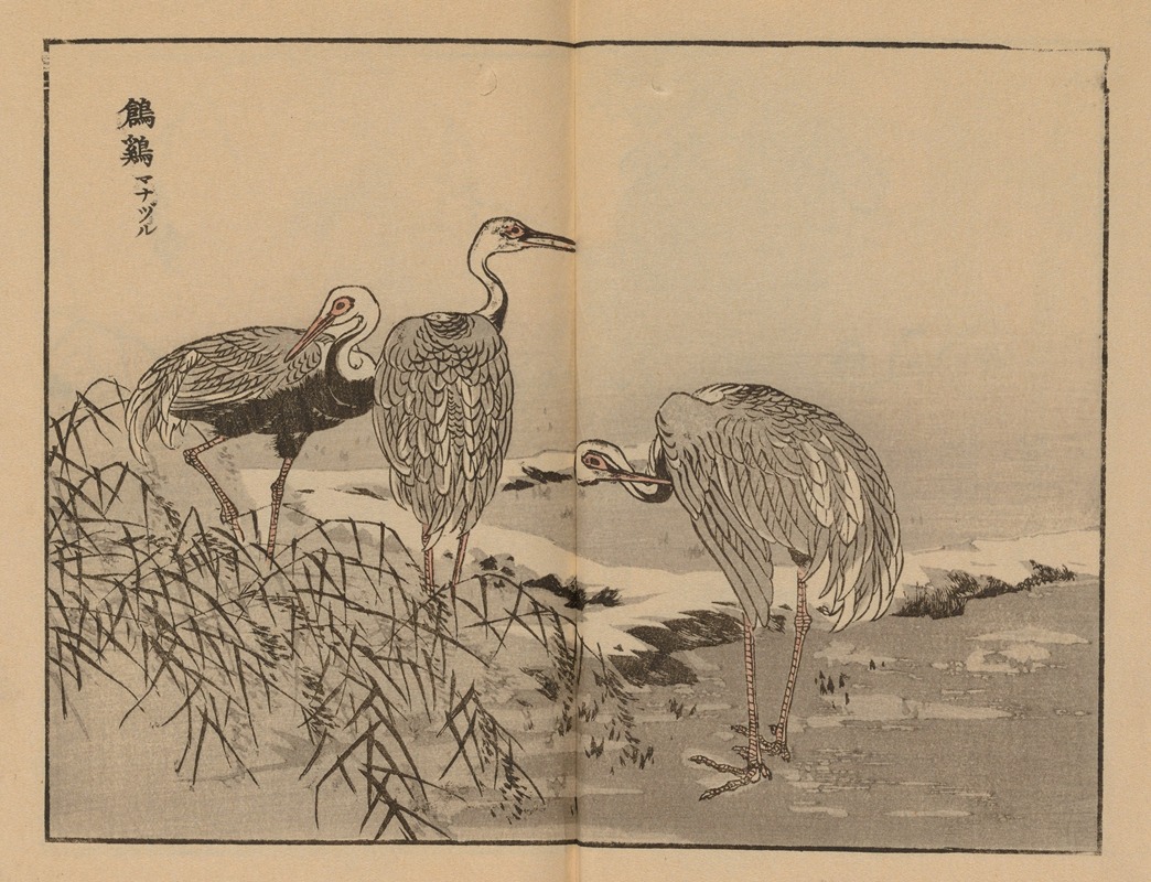 Bairei gafu, Pl.42 by Коно Байрей, 1905 — digital art print download