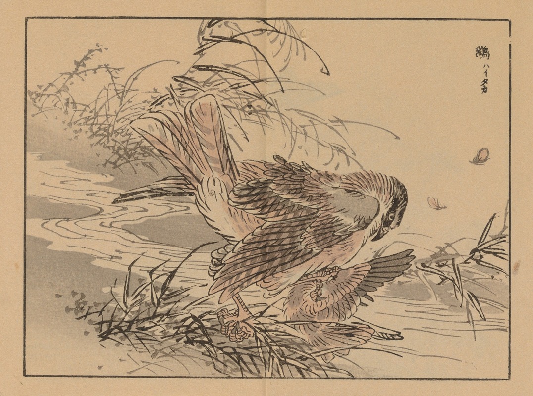 Bairei gafu, Pl.46 by Коно Байрей, 1905 — digital art print download