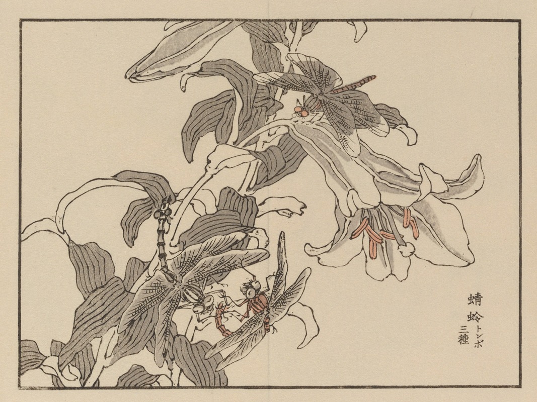 Bairei gafu, Pl.52 by Коно Байрей, 1905 — digital art print download
