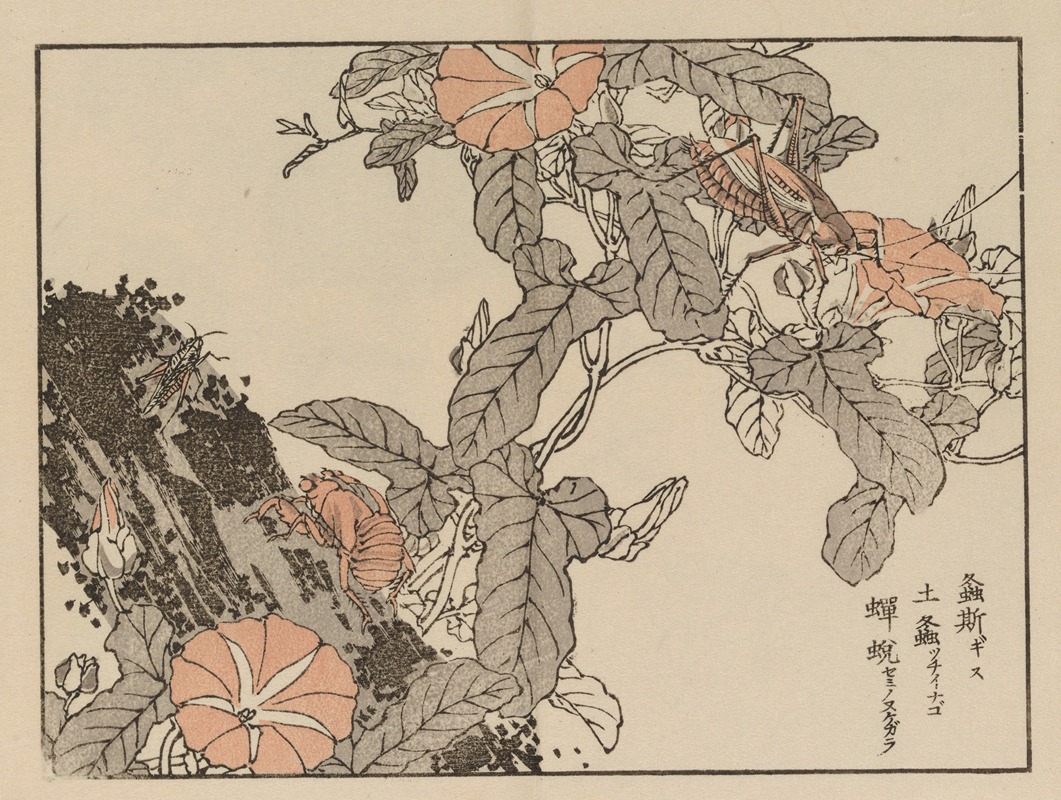 Bairei gafu, Pl.54 by Коно Байрей, 1905 — digital art print download