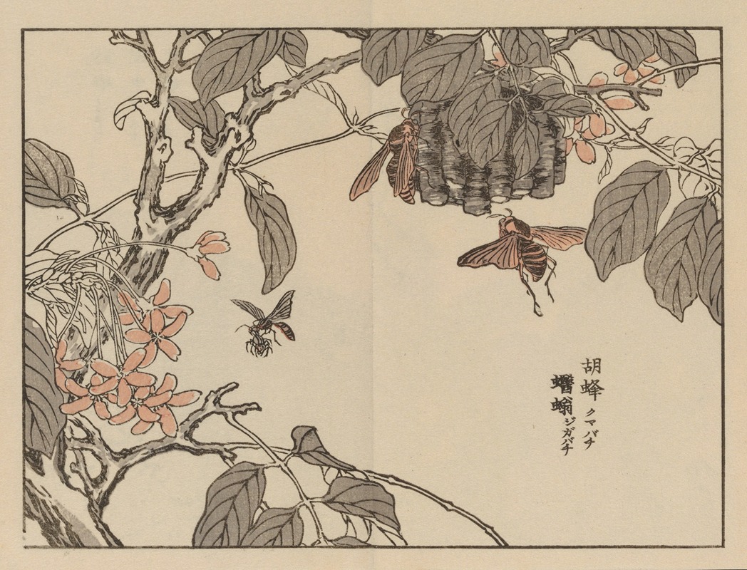 Bairei gafu, Pl.55 by Коно Байрей, 1905 — digital art print download