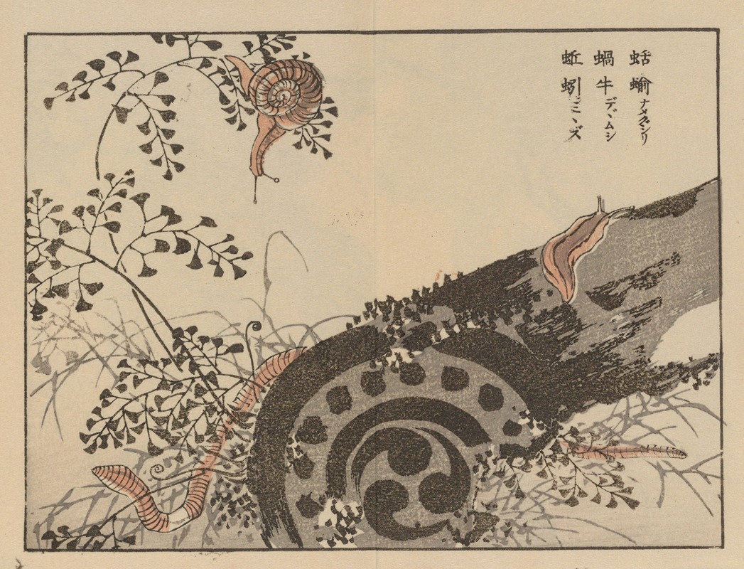 Bairei gafu, Pl.56 by Коно Байрей, 1905 — digital art print download