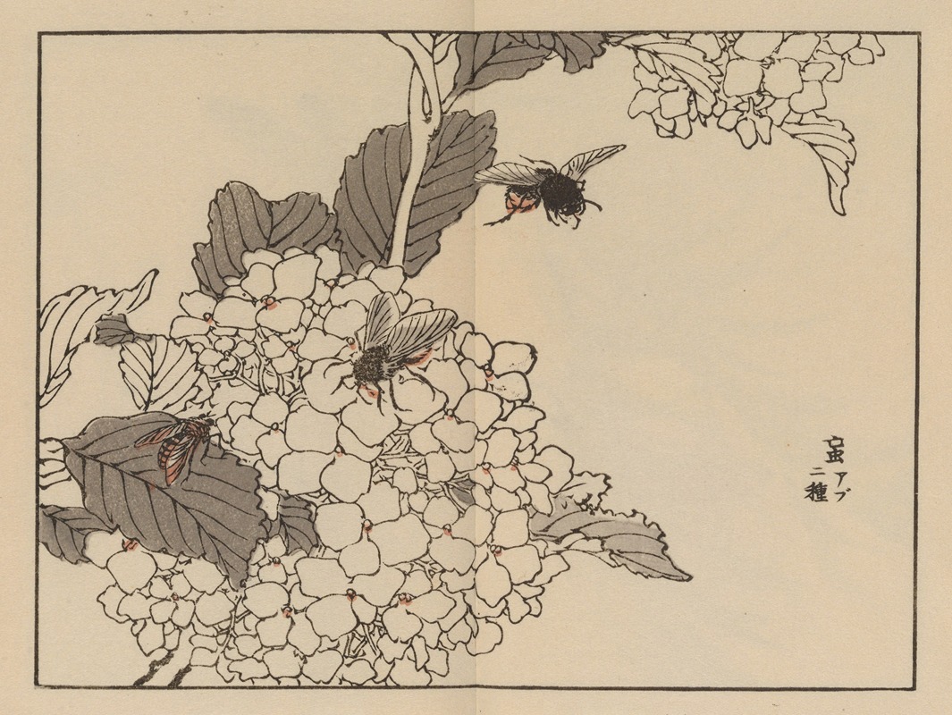 Bairei gafu, Pl.59 by Коно Байрей, 1905 — digital art print download
