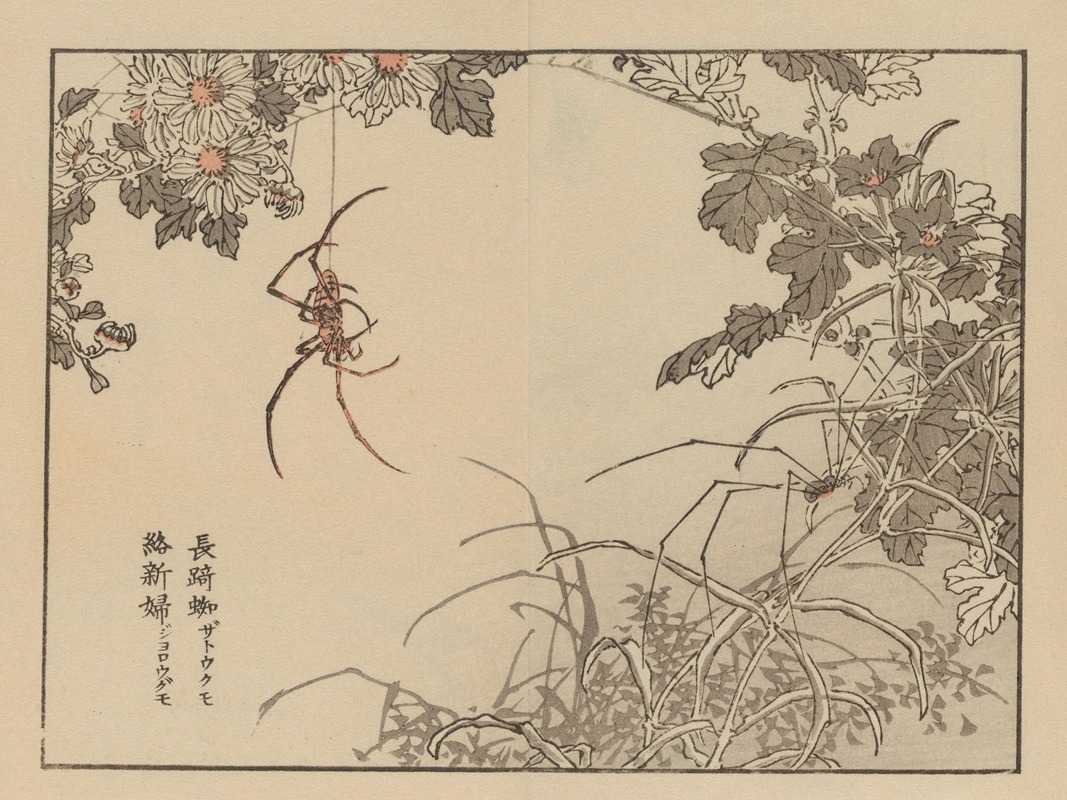 Bairei gafu, Pl.74 by Коно Байрей, 1905 — digital art print download