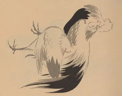 Hōgajō, Pl.03 by Дзиро Такэути, 1901 — digital art print download