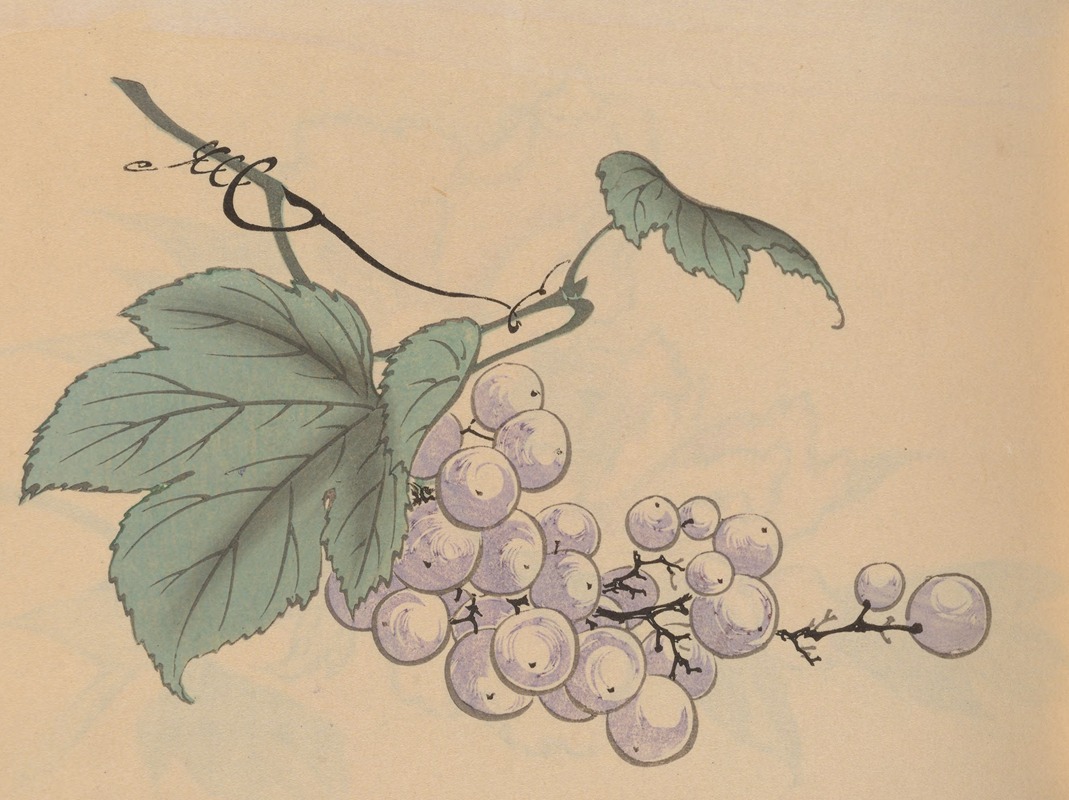 Hōgajō, Pl.05 by Дзиро Такэути, 1901 — digital art print download