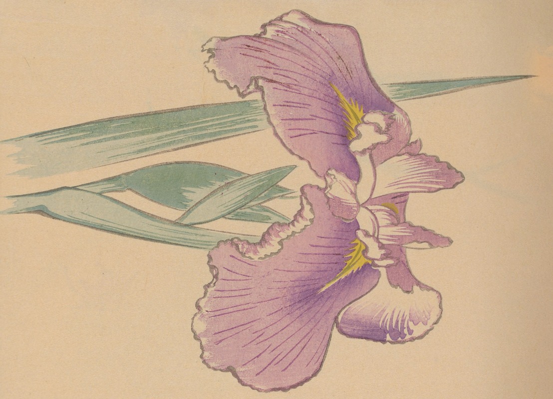 Hōgajō, Pl.08 by Дзиро Такэути, 1901 — digital art print download