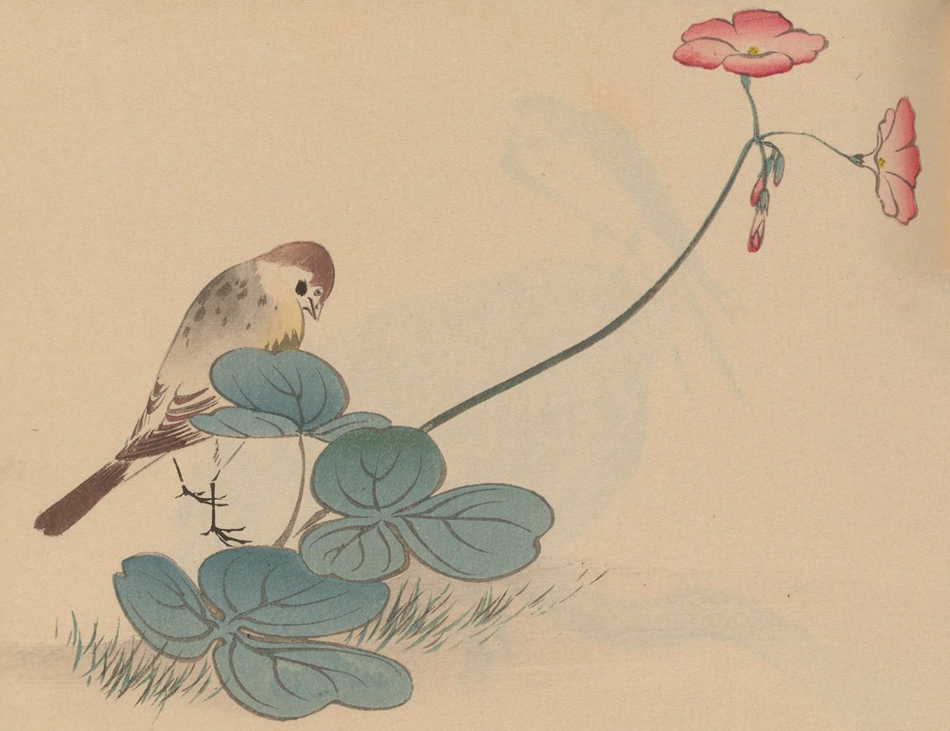 Hōgajō, Pl.10 by Дзиро Такэути, 1901 — digital art print download