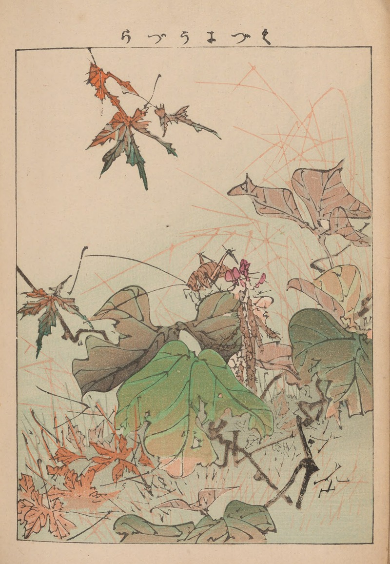 Kachō gafu, Pl.13 by Kōtei Fukui, 1898 — digital art print download