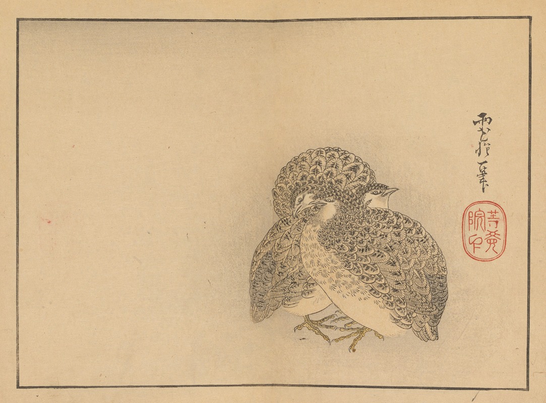 Sakai Hōitsu gajō, Pl.20 — Sakai Hōitsu
