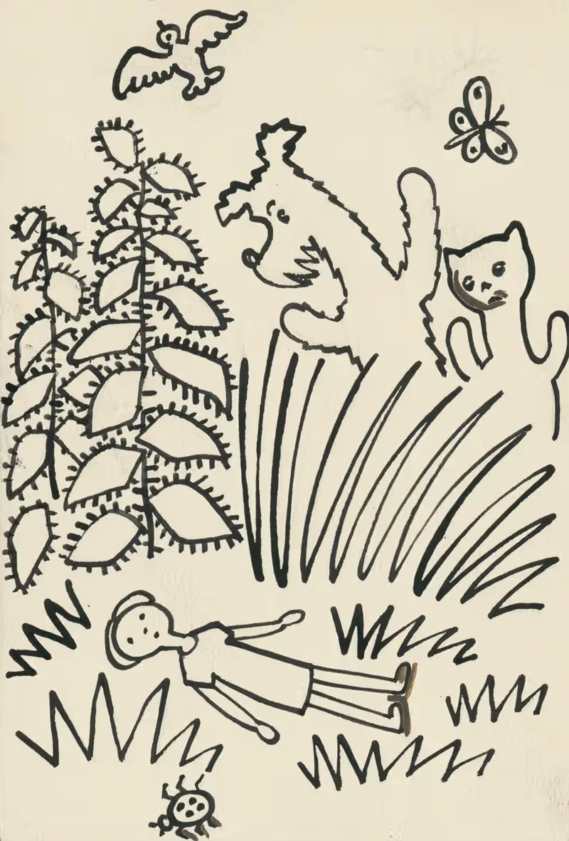 I Had a Dog and a Cat Pl 14 — Josef Čapek