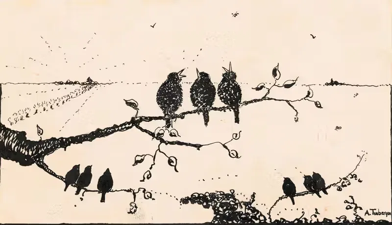 Negen vogels op boomtakken — A. Tinbergen