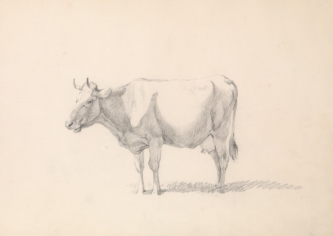 Cow by Южен Жозеф Вербокховен — digital art print download