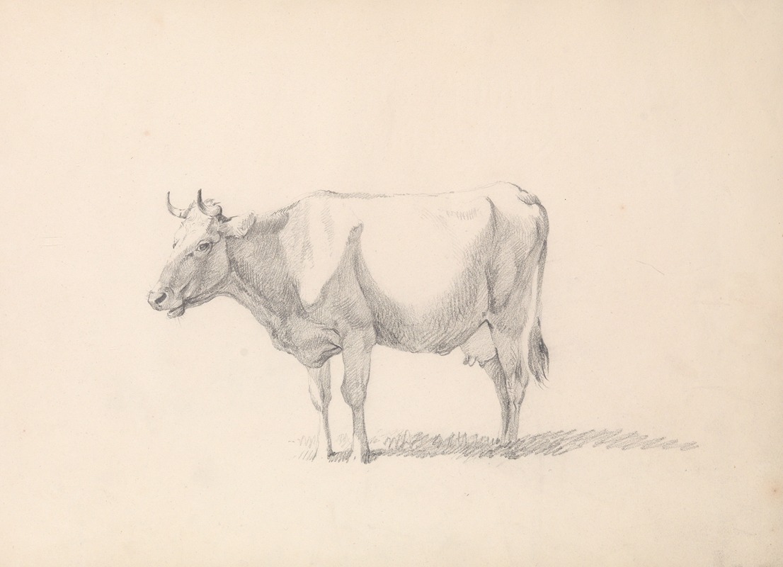 Cow by Южен Жозеф Вербокховен — digital art print download