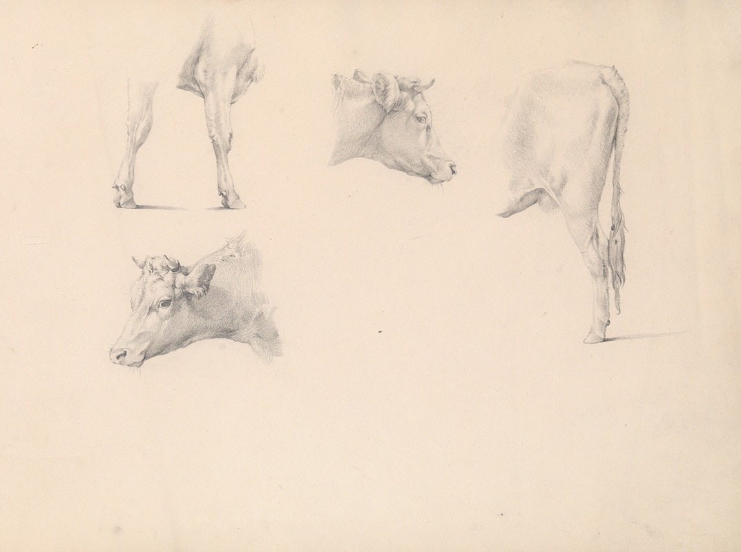 Cow's head and legs by Южен Жозеф Вербокховен — digital art print download